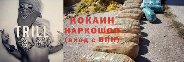 винт Алзамай