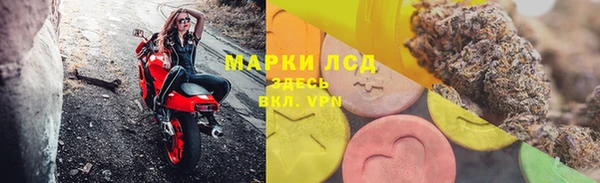 винт Алзамай