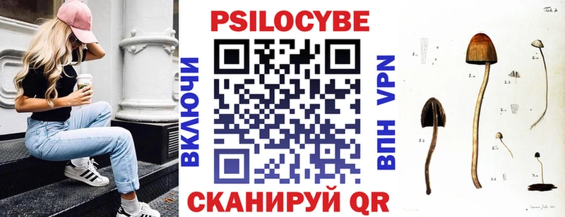 Псилоцибиновые грибы GOLDEN TEACHER  купить закладку  Кашин 