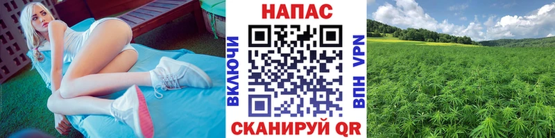 Бошки Шишки VHQ  купить наркотики цена  Кашин 